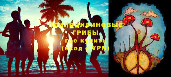 дмт Мегион